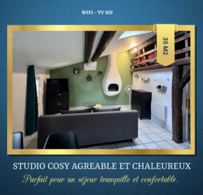 Studio Cosy au Coeur de Narbonne